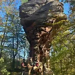 Le Petit Sabotier Soucht