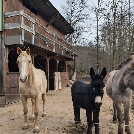 Le Petit Sabotier * Soucht