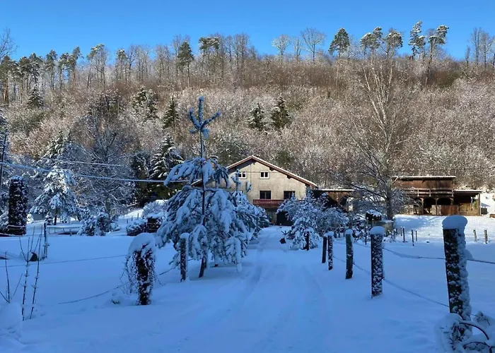 Le Petit Sabotier Chalet