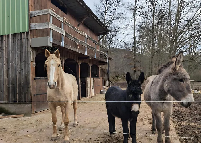 Le Petit Sabotier * Soucht