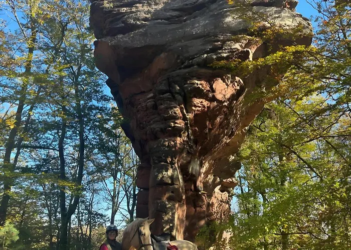 Le Petit Sabotier Soucht